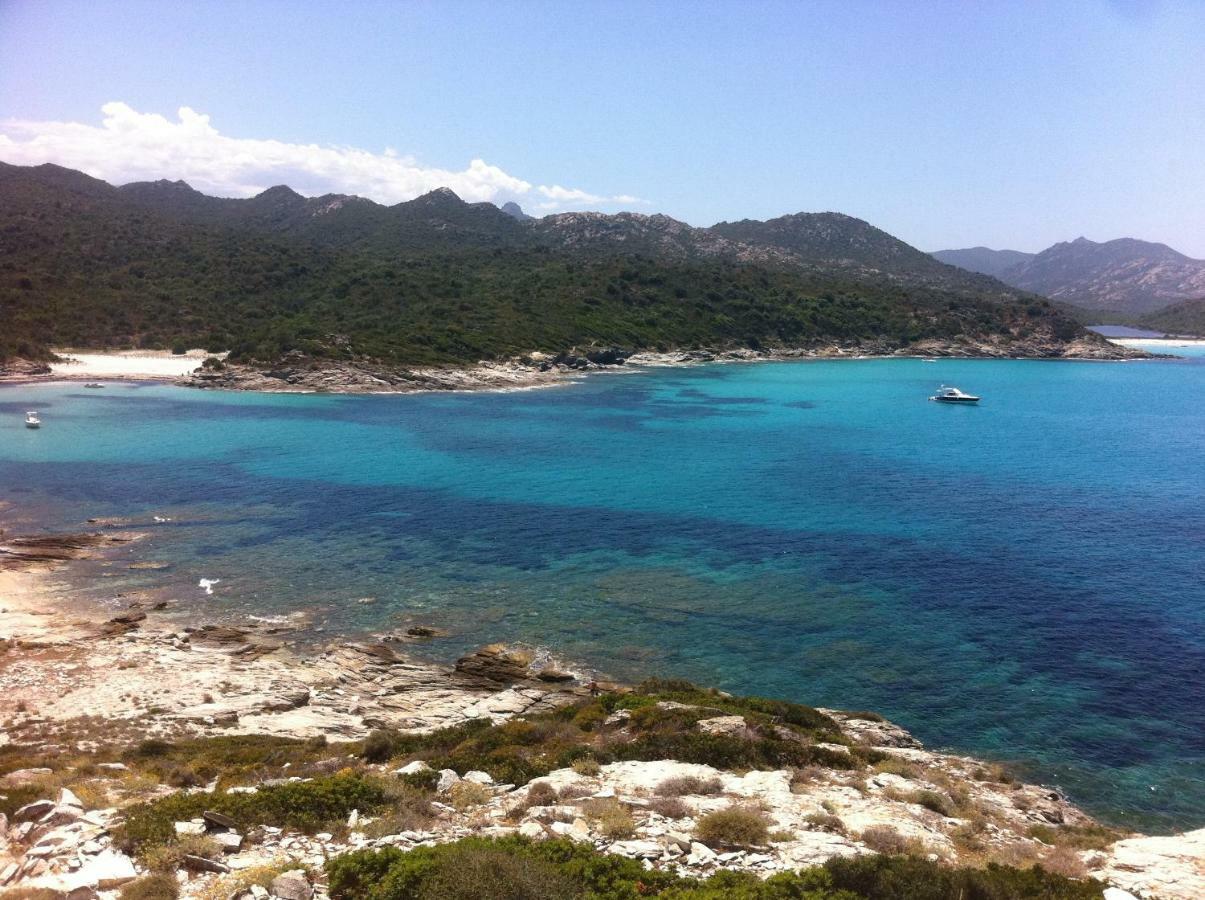 Appartement 2 Terrasses Face Mer De 100M2 แซ็งต์-โฟลร็องต์ ภายนอก รูปภาพ